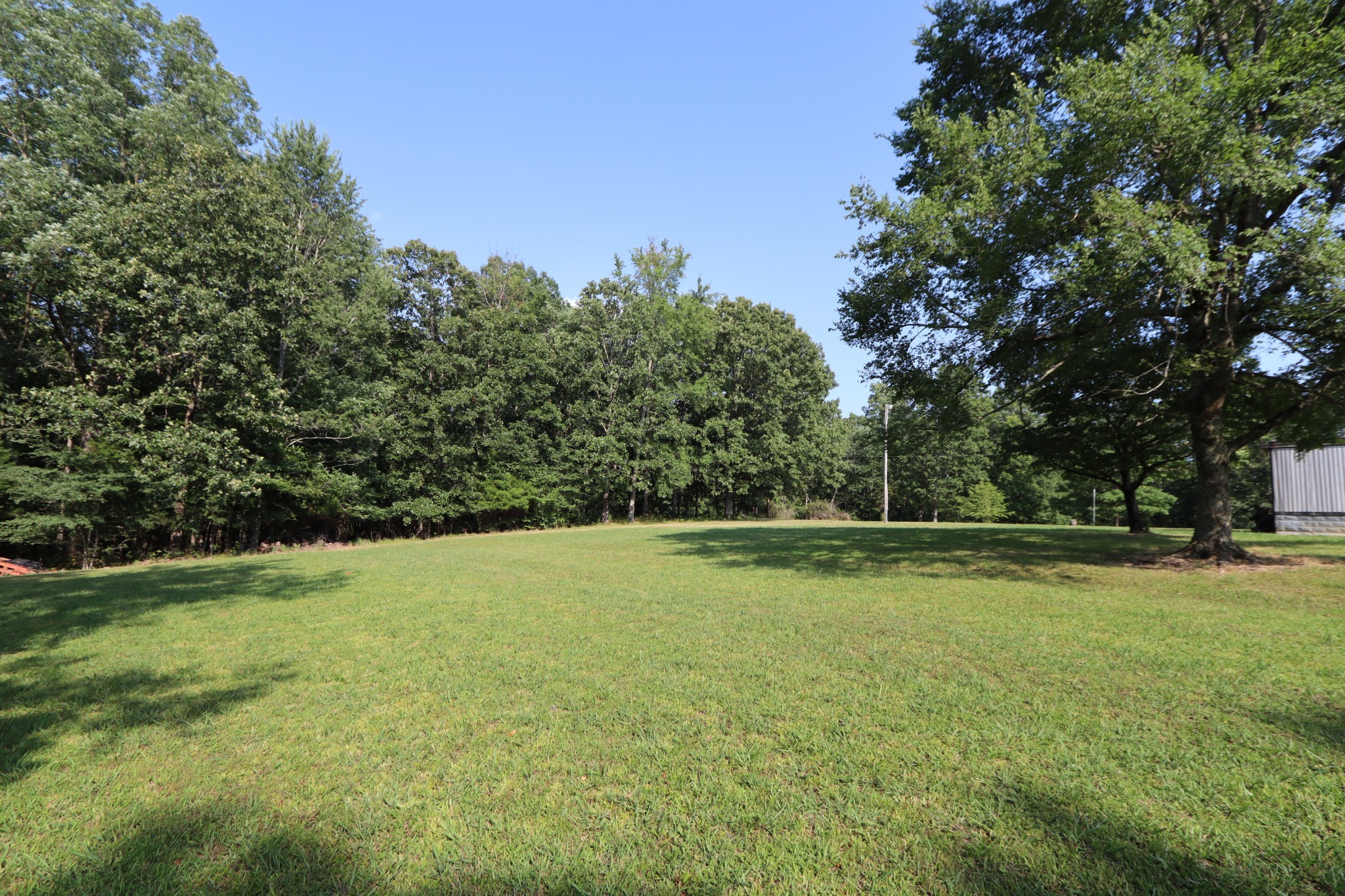 555 Tummins Road McEwen, TN 37101 - Photo 43 of 58 a view of a green field with trees in the background