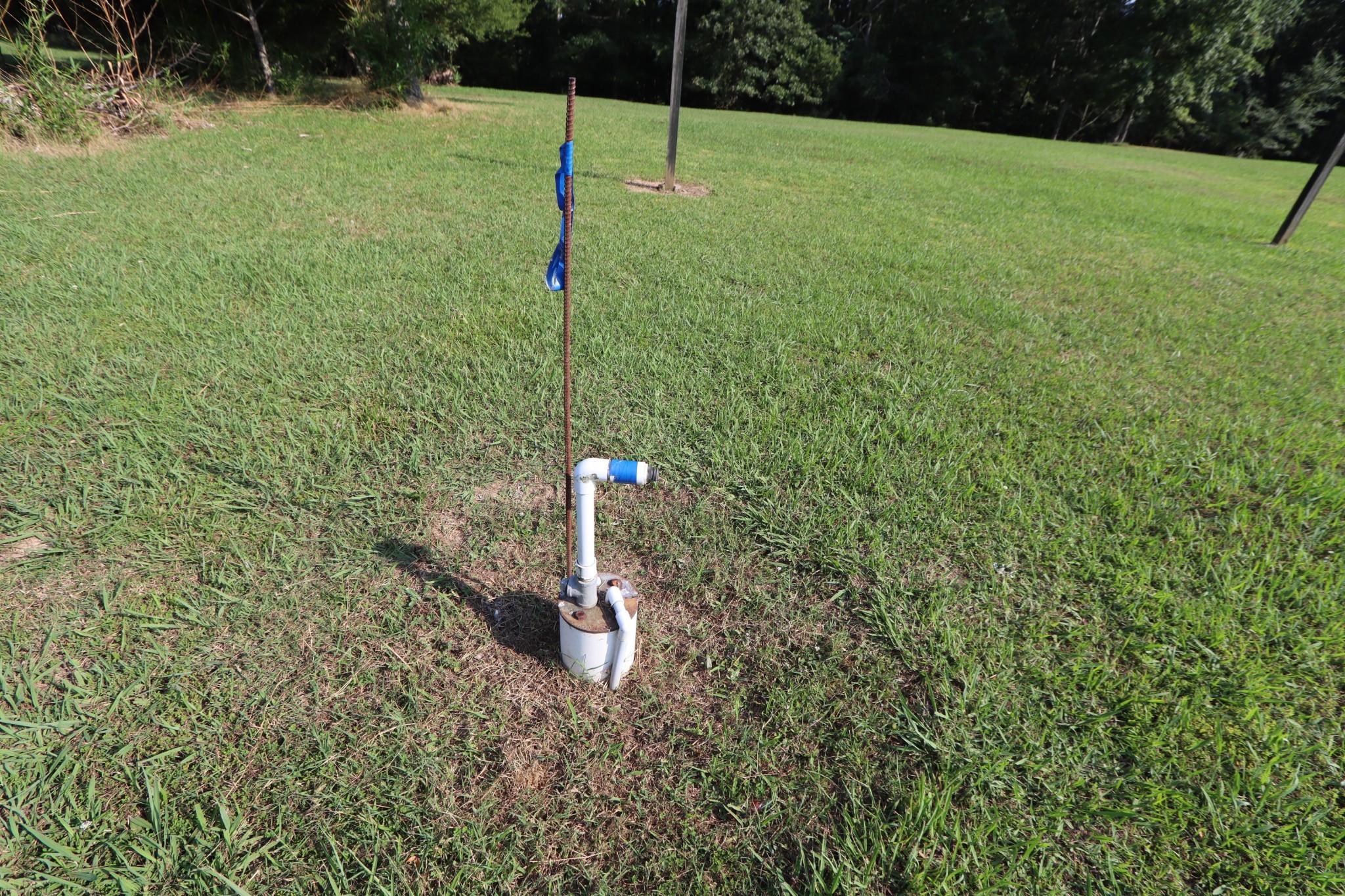 555 Tummins Road McEwen, TN 37101 - Photo 5 of 58 a backyard of a house