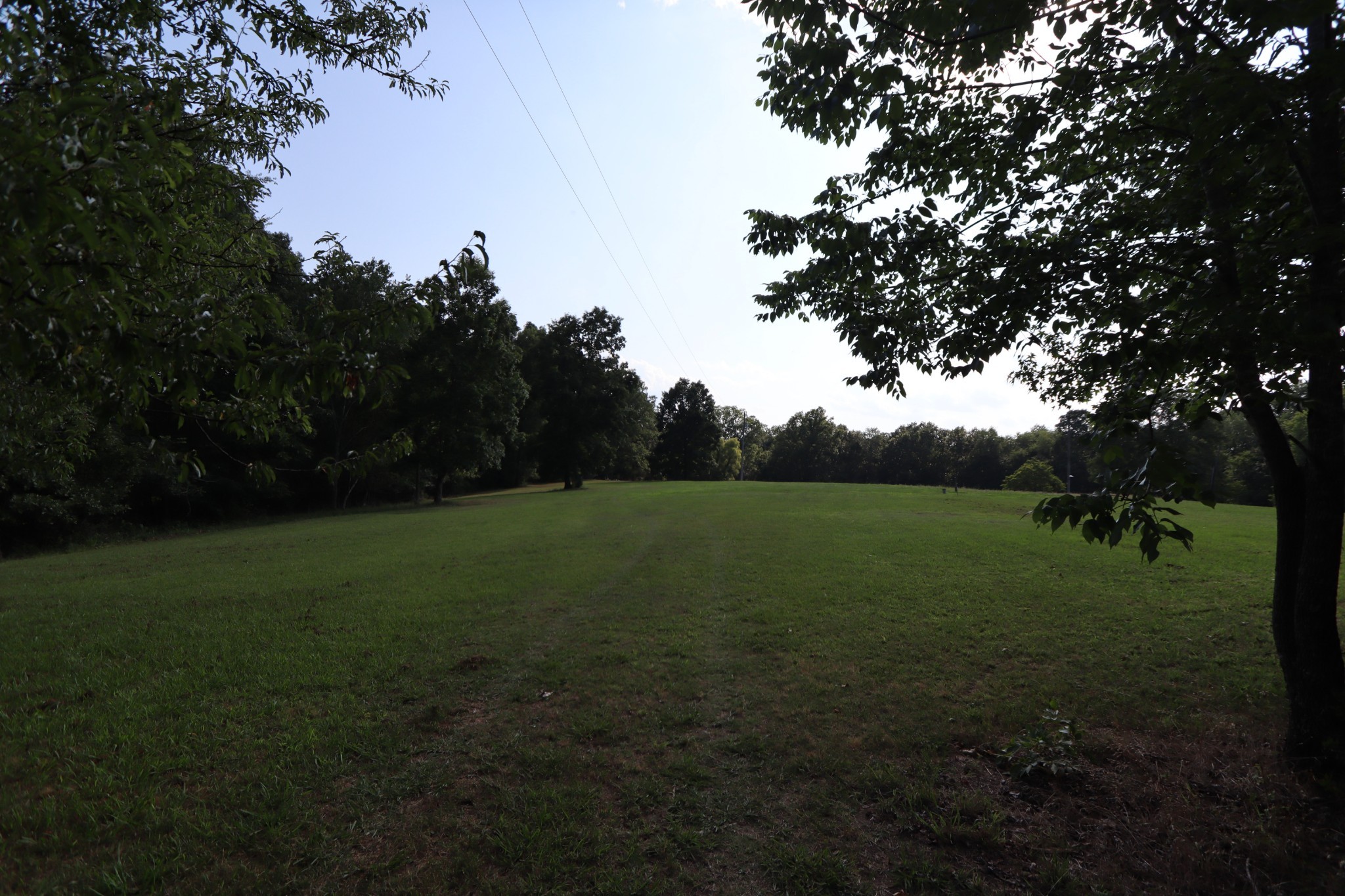 555 Tummins Road McEwen, TN 37101 - Photo 54 of 58 a view of field with trees in background