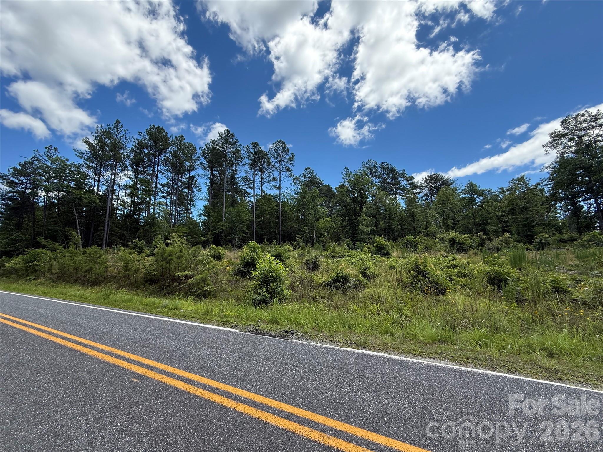 9999 Clark Road Rutherfordton, NC 28139 - Photo 15 of 19