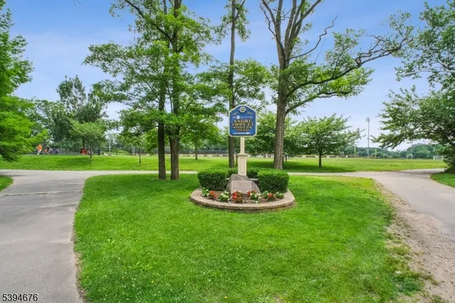 a big yard with palm trees