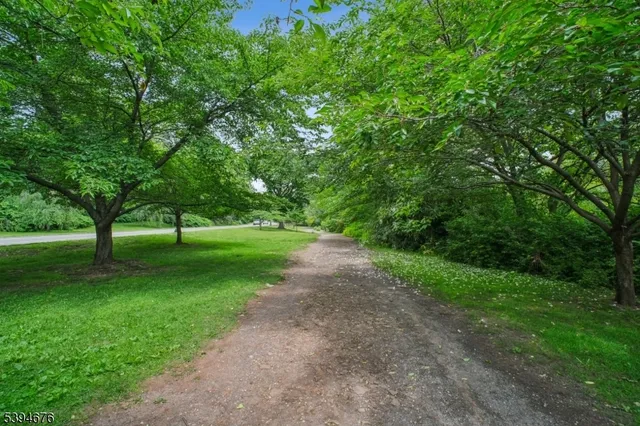 a view of a park with trees in the background
