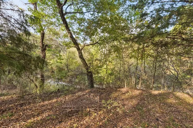 a view of a forest with trees in the background