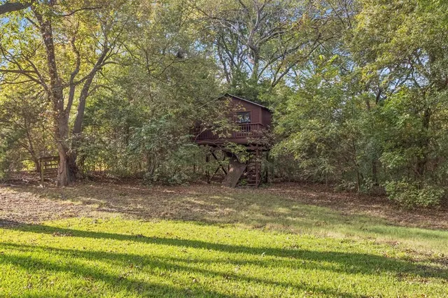 a view of a yard with a trees