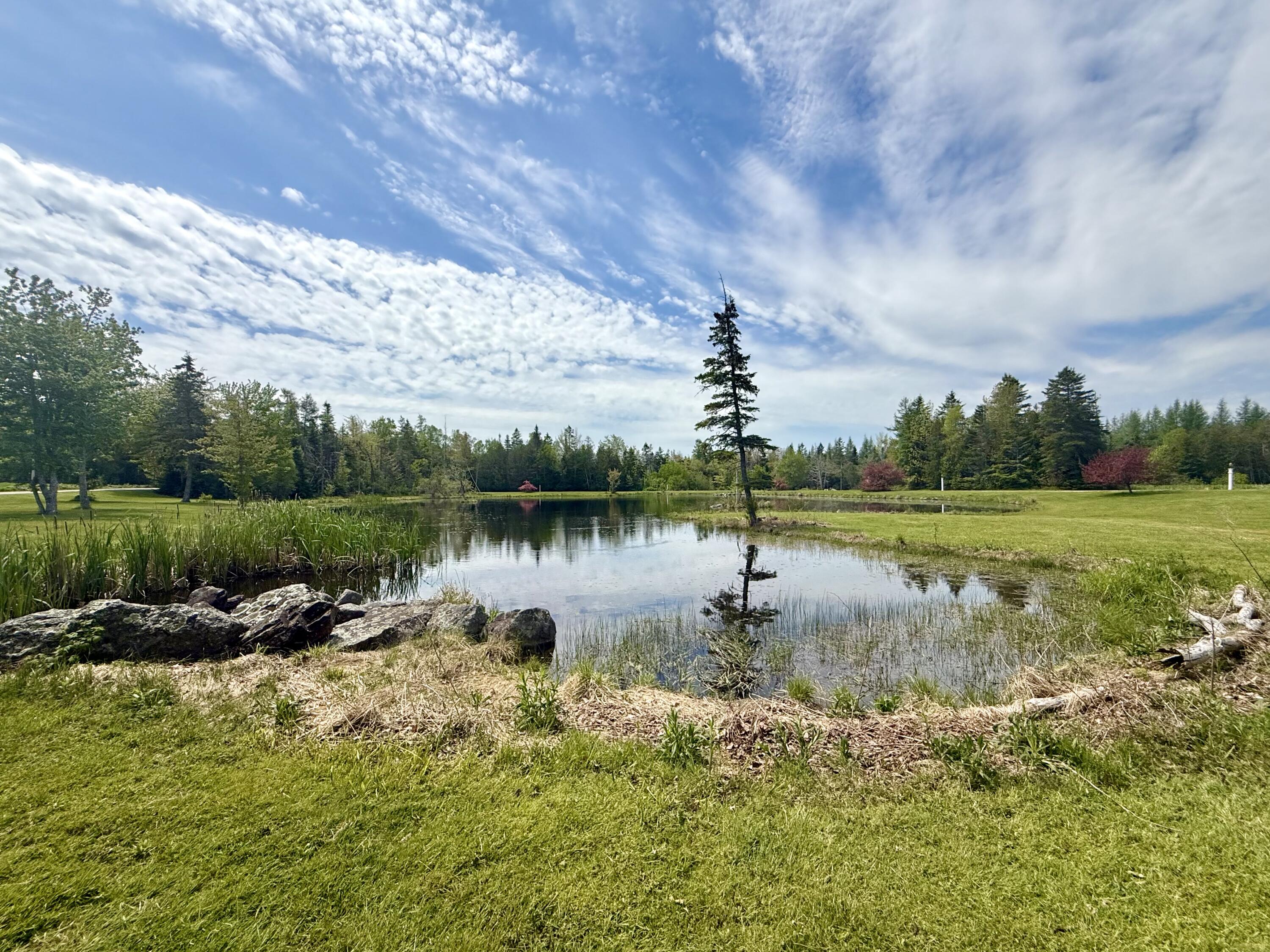 12 Morgan Road Pembroke, ME 04666 - Photo 24 of 124 IMG_0843