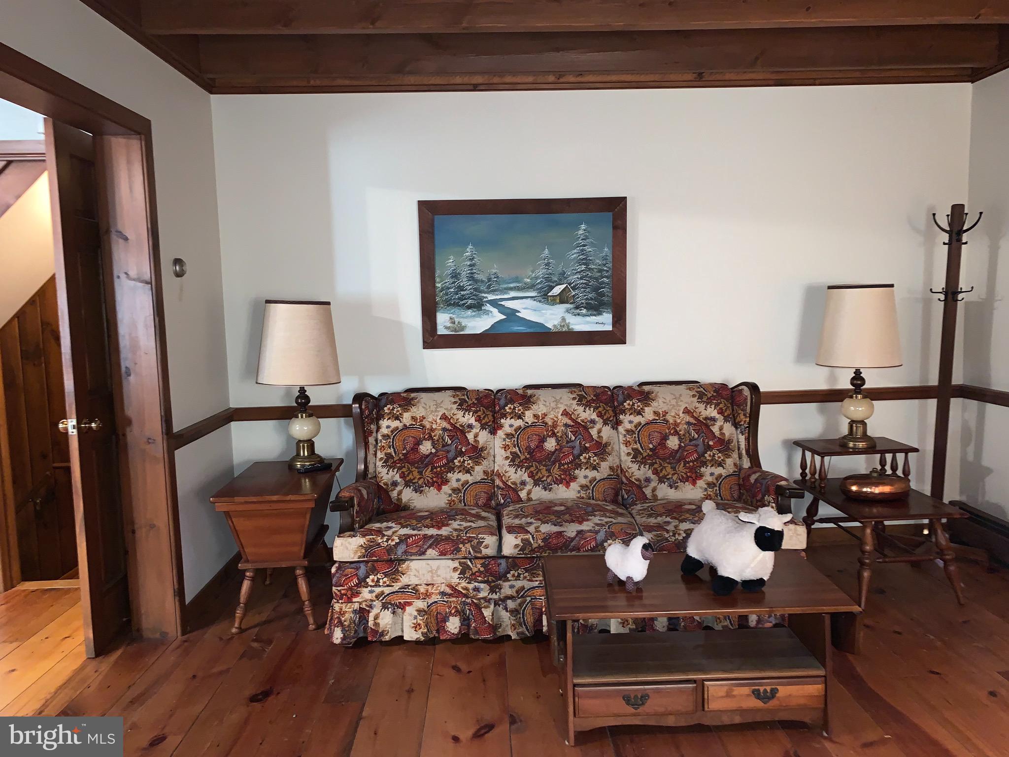 1025 Creek Road Pitman, PA 17964 - Photo 14 of 83 Living room