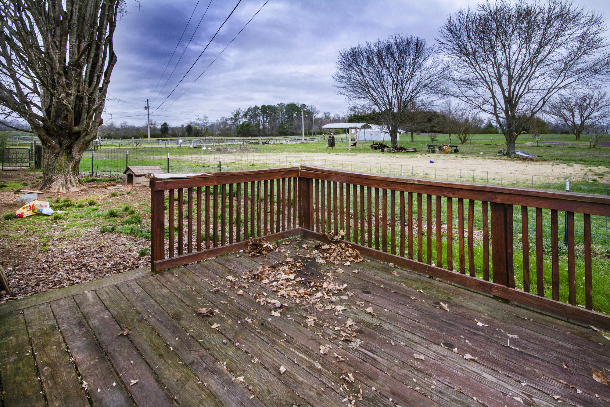 1496 Cunningham Road West Seymour, TN 37865 - Photo 22 of 27 IMG_0035