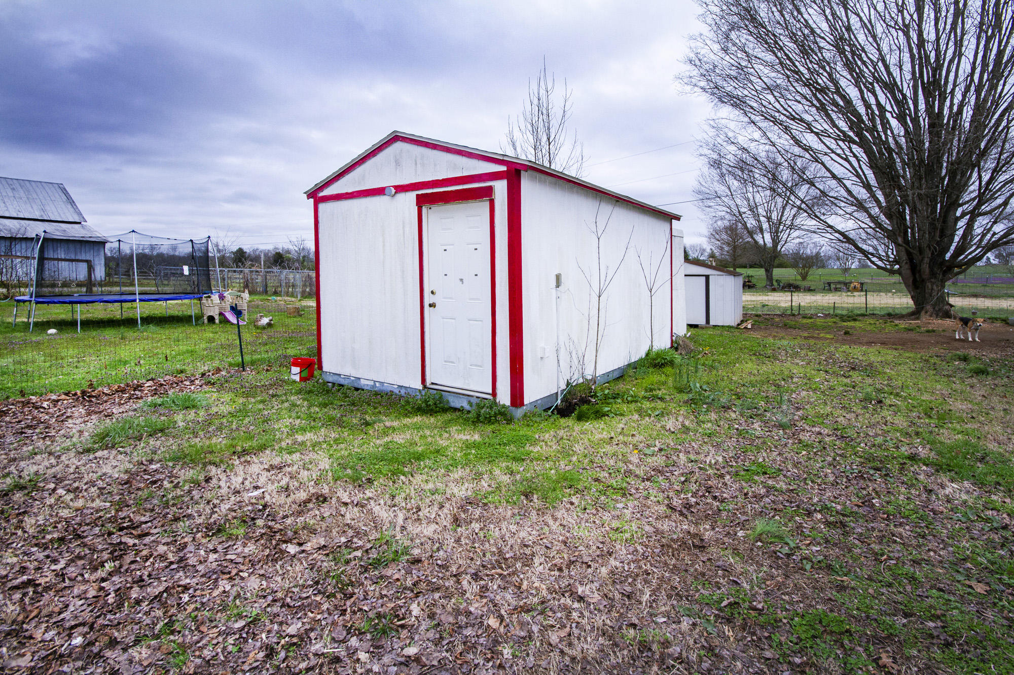1496 Cunningham Road West Seymour, TN 37865 - Photo 24 of 27 IMG_0037