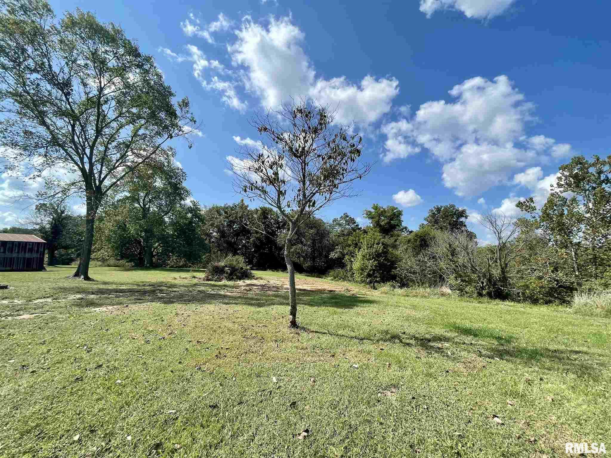 18630 Ewing Road Marion, IL 62959 - Photo 6 of 50