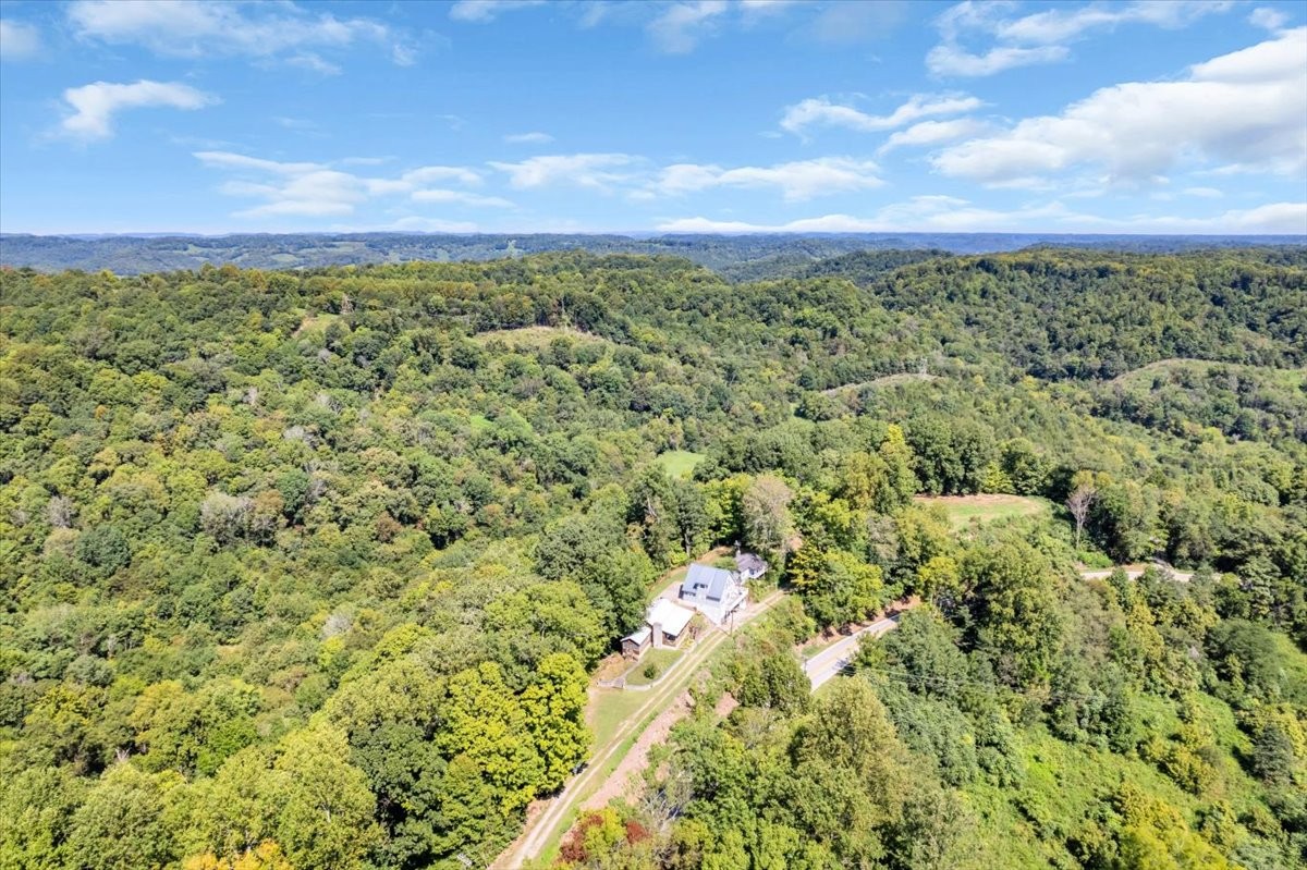 7383 Dale Ridge Road Lancaster, TN 38569 - Photo 7 of 47 Gallery Image 7