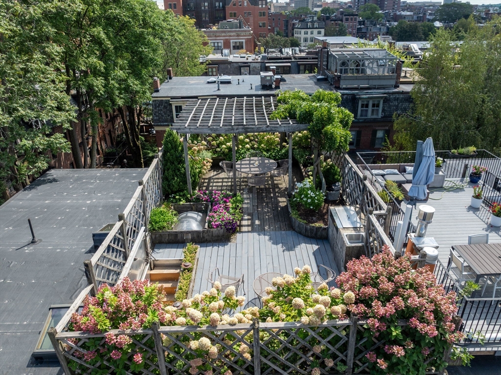 80 Appleton Street Boston, MA 02116 - Photo 22 of 30 a view of a potted flower in a garden