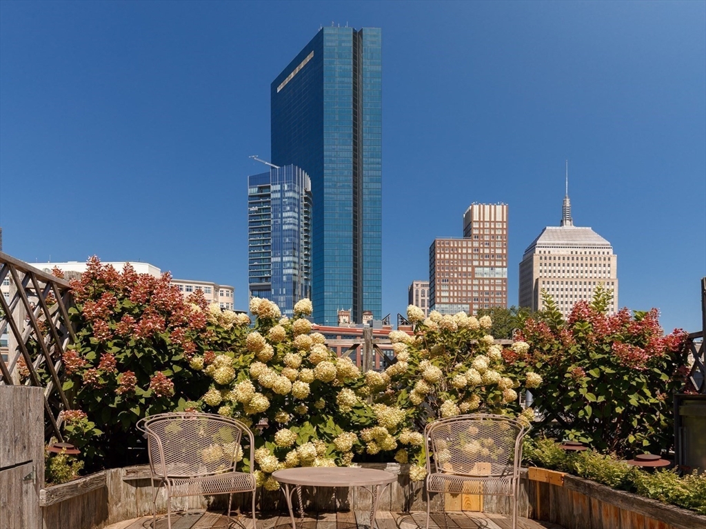 80 Appleton Street Boston, MA 02116 - Photo 23 of 30 a view of building with garden space and plants