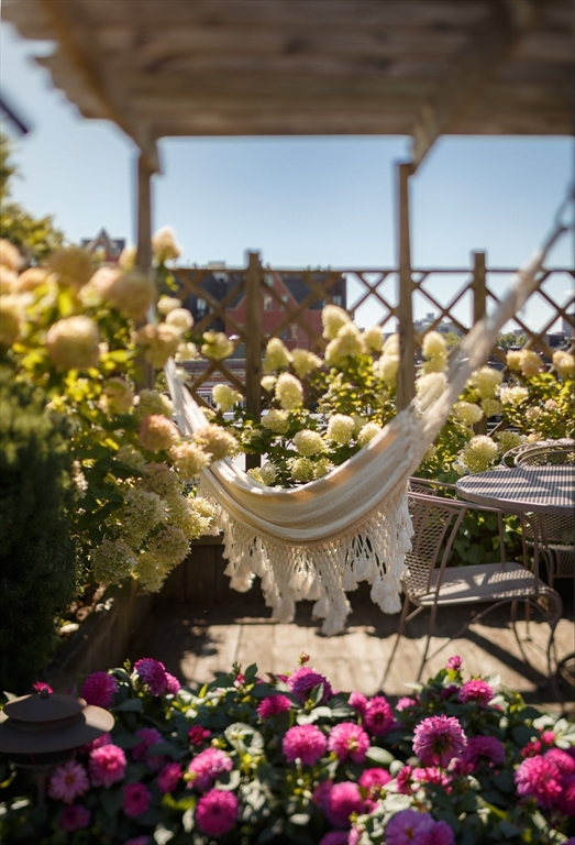 80 Appleton Street Boston, MA 02116 - Photo 27 of 30 a view of a outdoor space