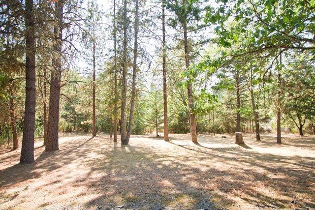 2535 Dowell Road Grants Pass, OR 97527 - Photo 21 of 32 Additional Photo