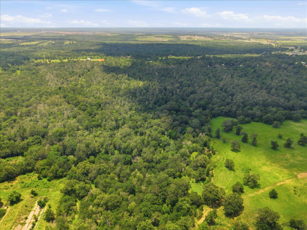 Tbd Fawn Ridge Road Cedar Creek, TX 78612 - Photo 12 of 13