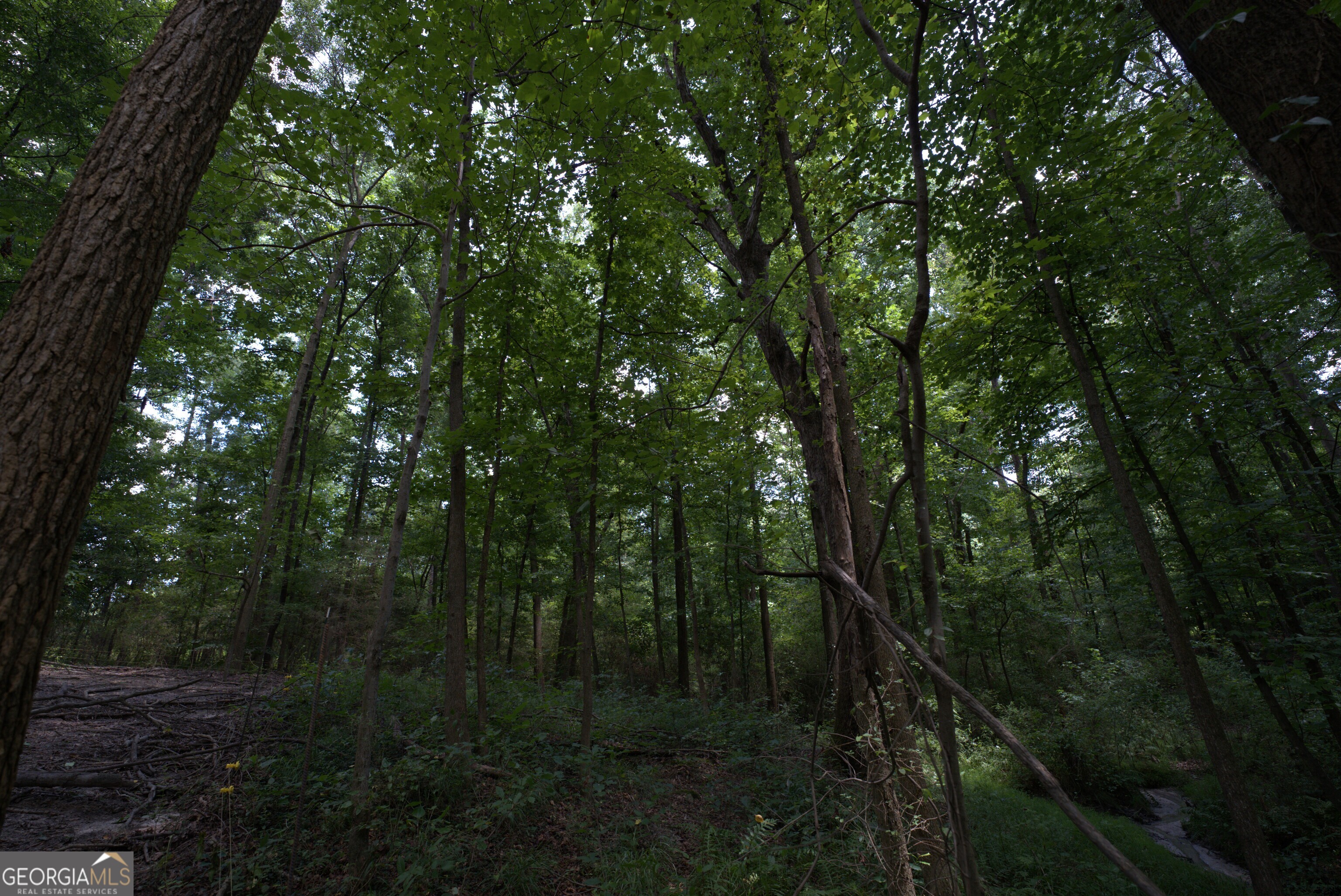 2170 Fork Creek Road Bowman, GA 30624 - Photo 30 of 58 Gallery Image 30