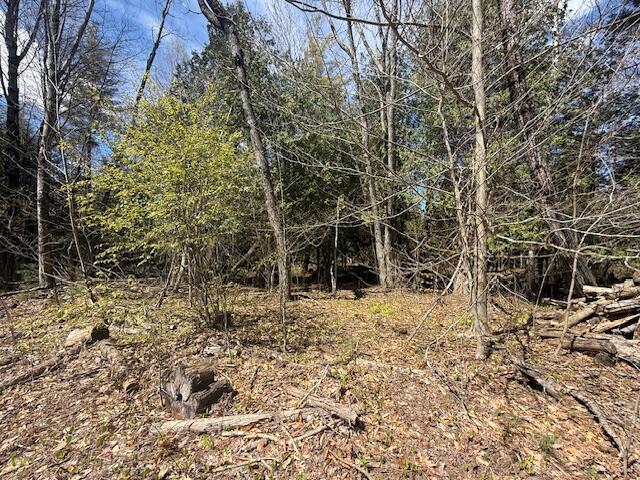 735 North Lakola Road Leroy, MI 49655 - Photo 10 of 15 IMG_5950