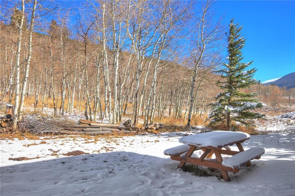 187 Rasor Drive Keystone, CO 80435 - Photo 24 of 24 a view of a backyard with large trees
