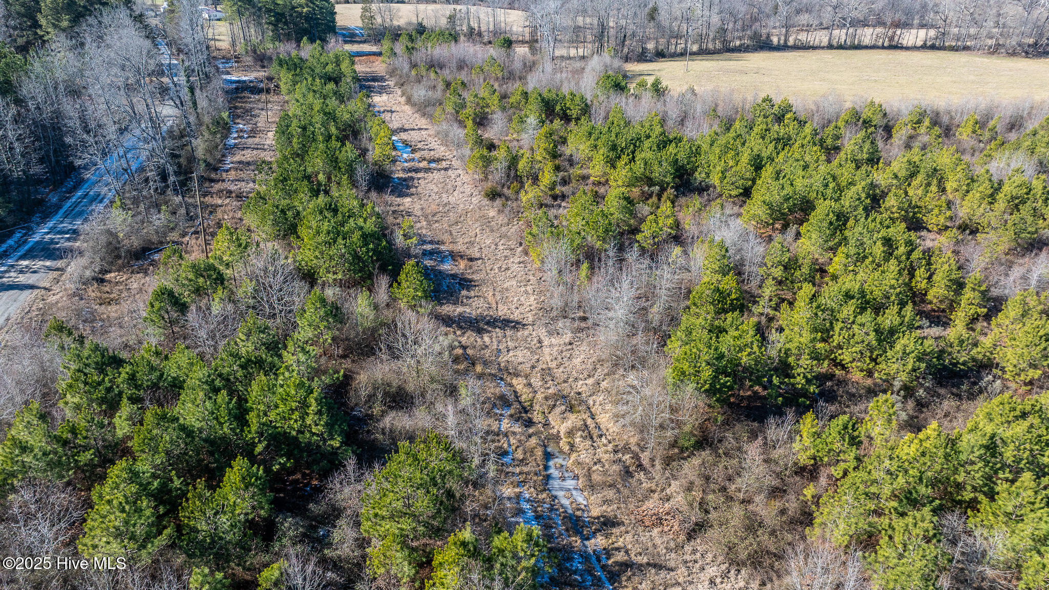 1100 Ben Smith Road Siler City, NC 27344 - Photo 52 of 66 SilerCity-87489-16