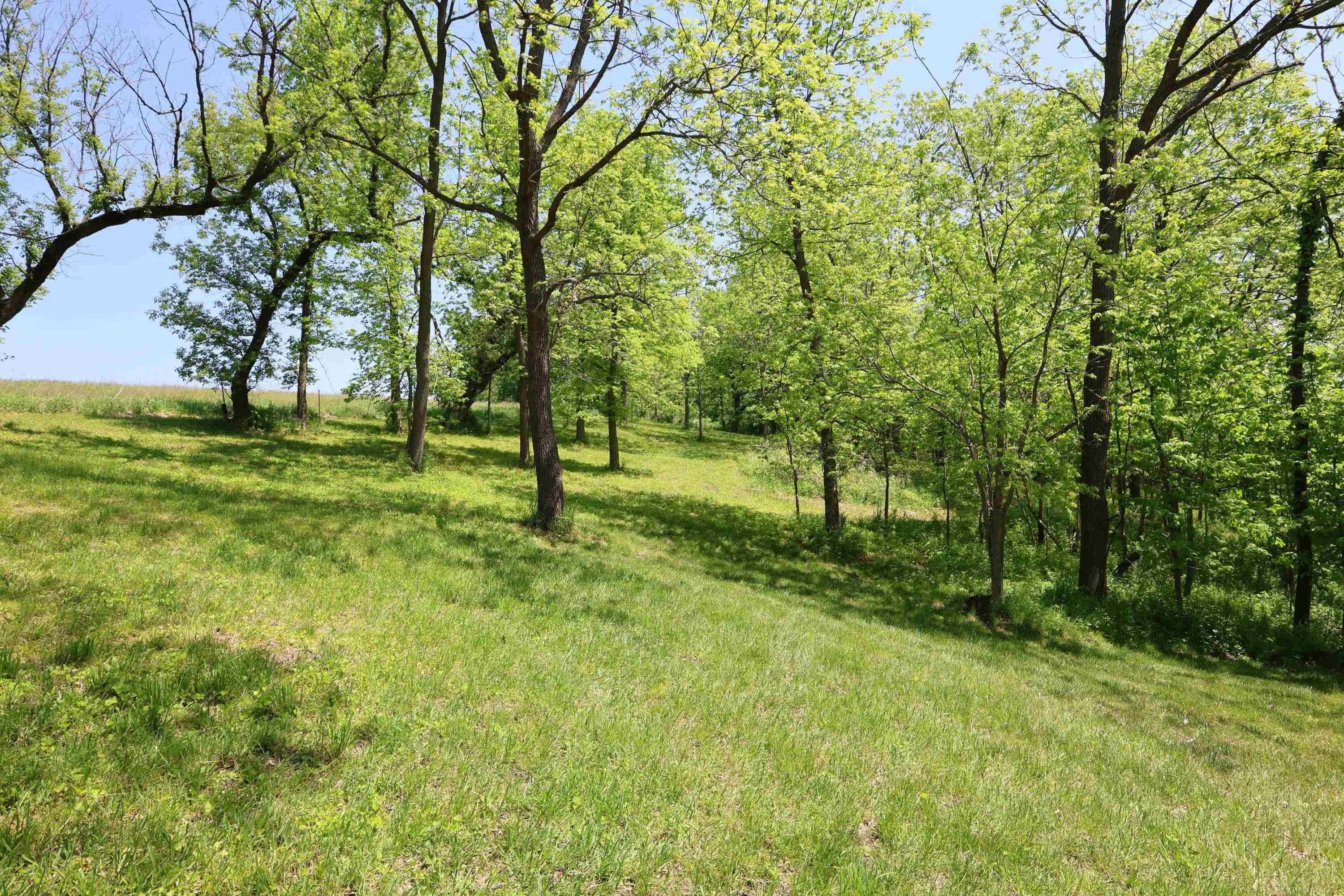 7469 Grant River Road Cassville, WI 53806 - Photo 62 of 62