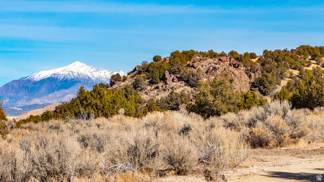 0 County Road 28 Levan, UT 84639 - Photo 42 of 207