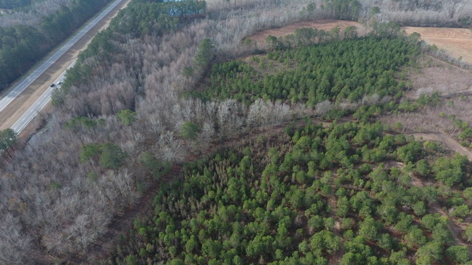 Tbt Douglas Swamp Road Lynchburg, SC 29080 - Photo 14 of 18 Gallery Image 14