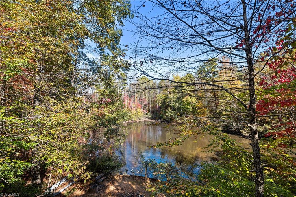 1040 Sycamore Street King, NC 27021 - Photo 34 of 46