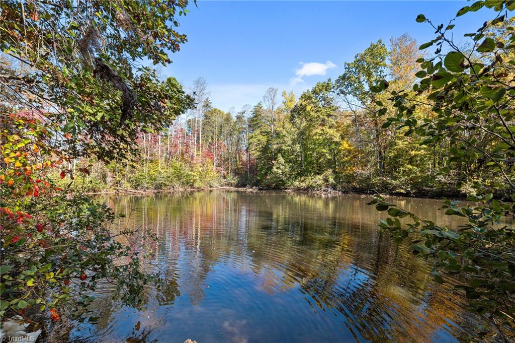 1040 Sycamore Street King, NC 27021 - Photo 39 of 46