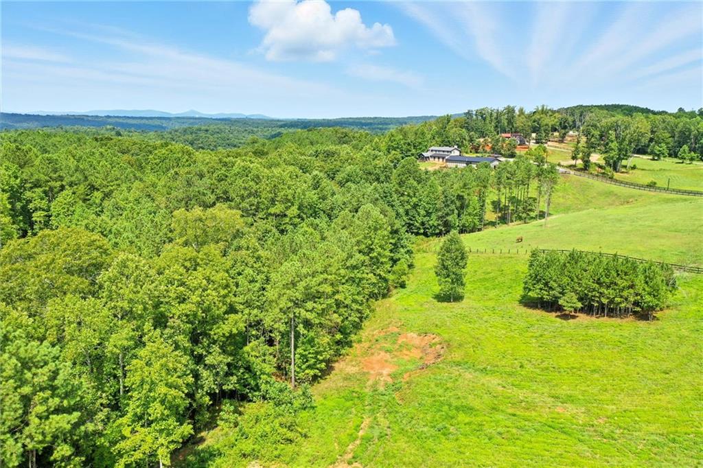 3511 Reavis Mountain Road, Unit 2 Ball Ground, GA 30107 - Photo 14 of 14 a view of yard with ocean view