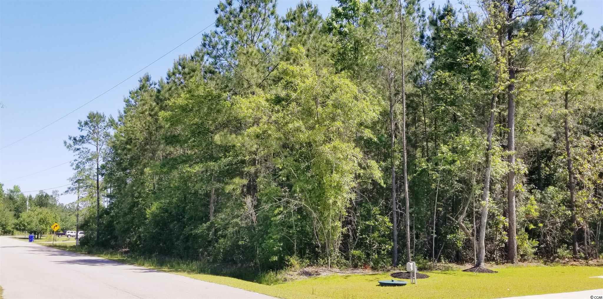Northeast Sellers Road Conway, SC 29526 - Photo 1 of 12 Gallery Image 1