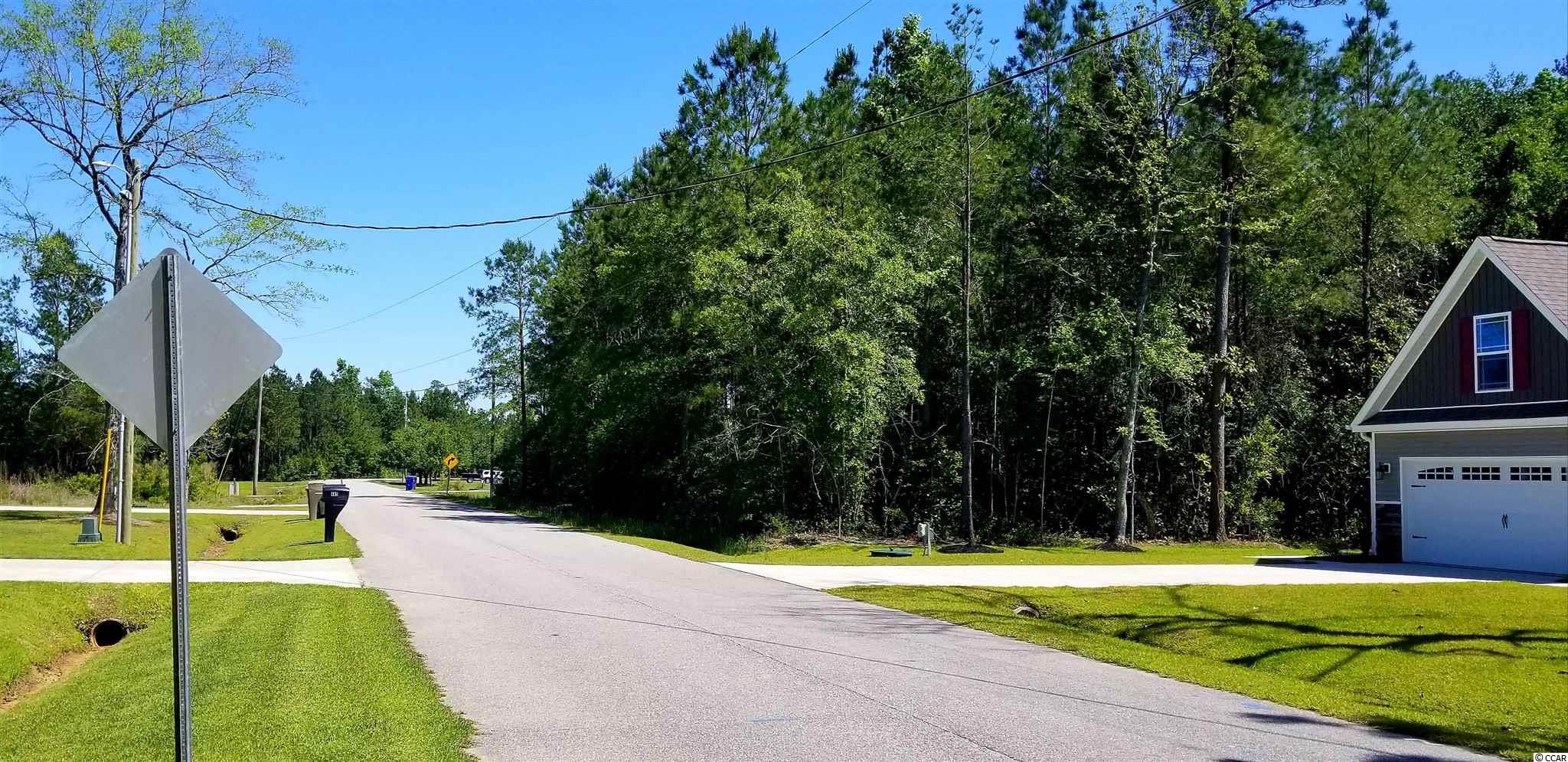 Northeast Sellers Road Conway, SC 29526 - Photo 2 of 12 Gallery Image 2