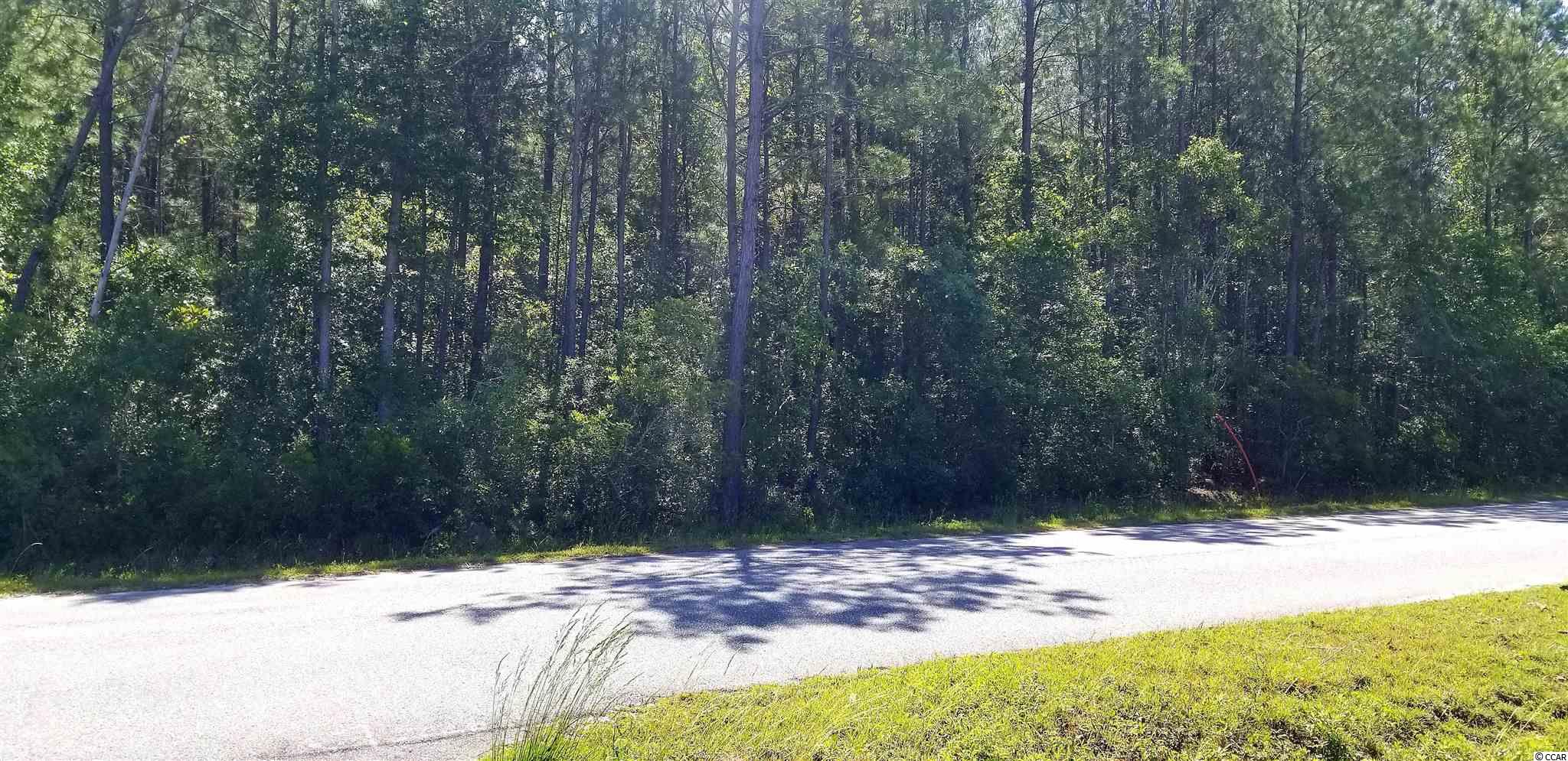 Northeast Sellers Road Conway, SC 29526 - Photo 5 of 12 Gallery Image 5