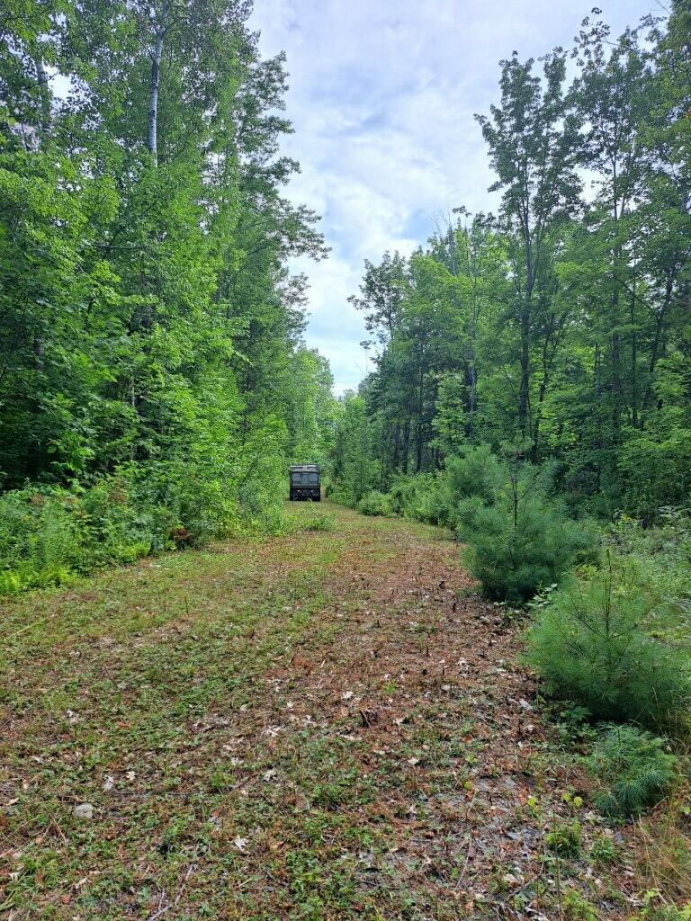 0 Sawyers Mills Road Starks, ME 04911 - Photo 4 of 14 Road to Lemon Stream
