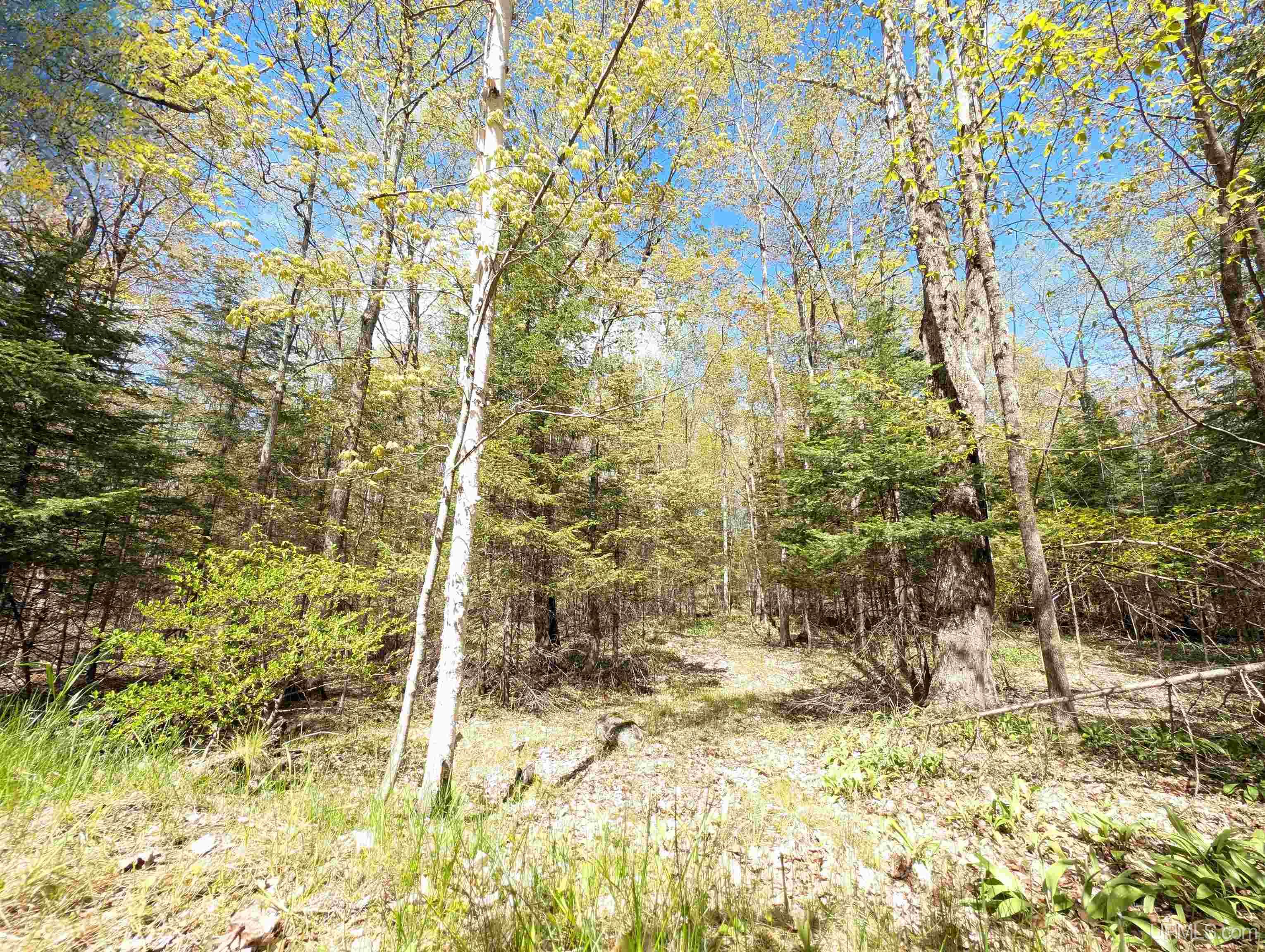 4537 II Road Garden, MI 49835 - Photo 57 of 60