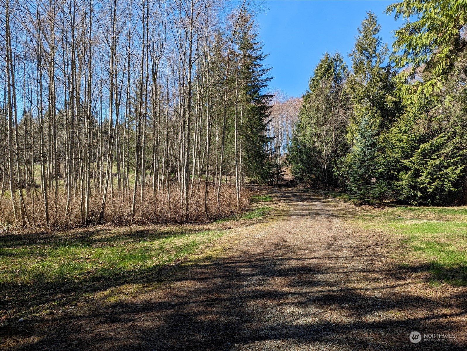 18001 Wood Road Bow, WA 98232 - Photo 7 of 27 Gallery Image 7