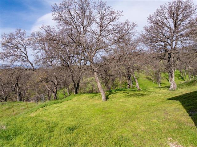 18920 Reeds Creek Road Red Bluff, CA 96080 - Photo 67 of 71 20260540-d33e271b-43a2-44cf-a53e-624a7fe