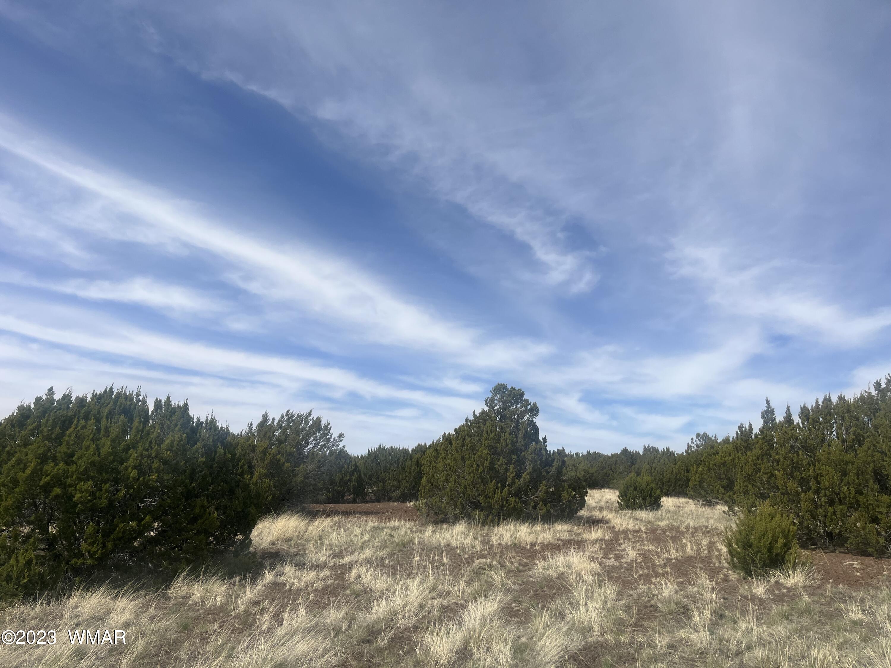 Tbd Tbd Ranch Greer, AZ 85927 - Photo 2 of 2