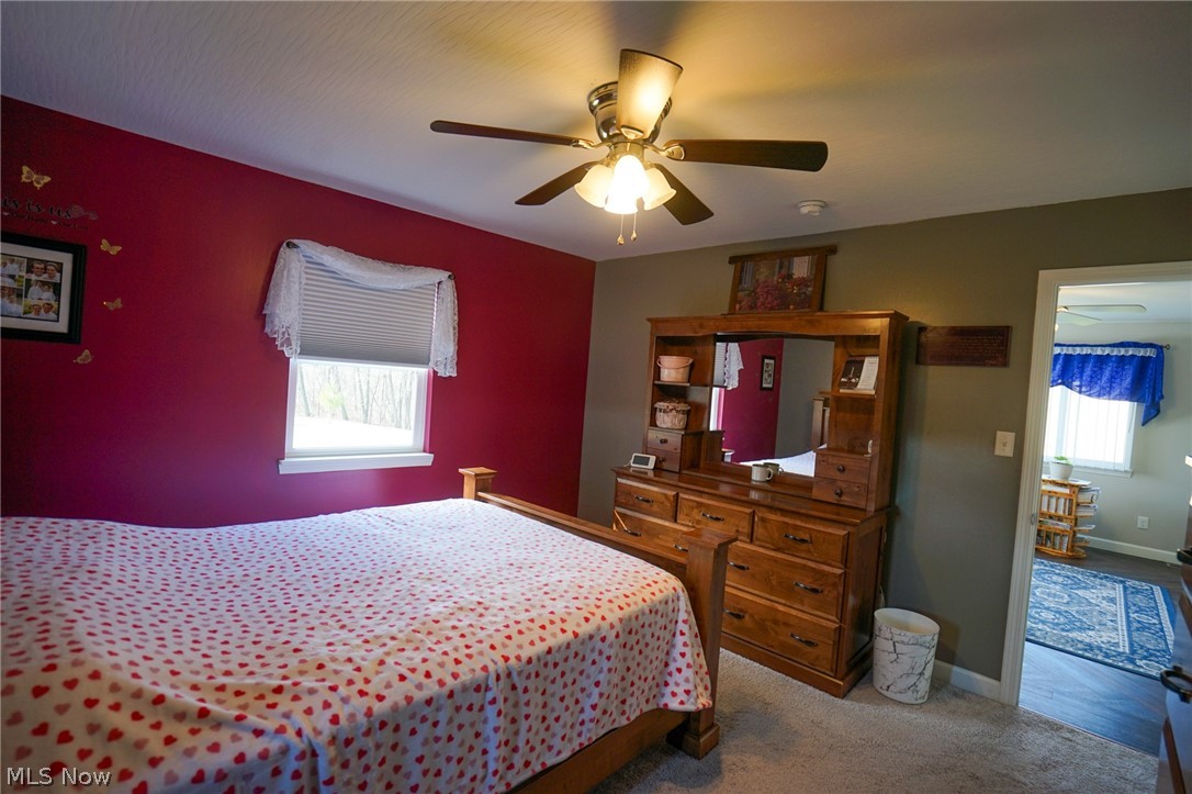 1325 County Line Road Hopewell, OH 43746 - Photo 17 of 45 Carpeted bedroom with ceiling fan and multiple windows