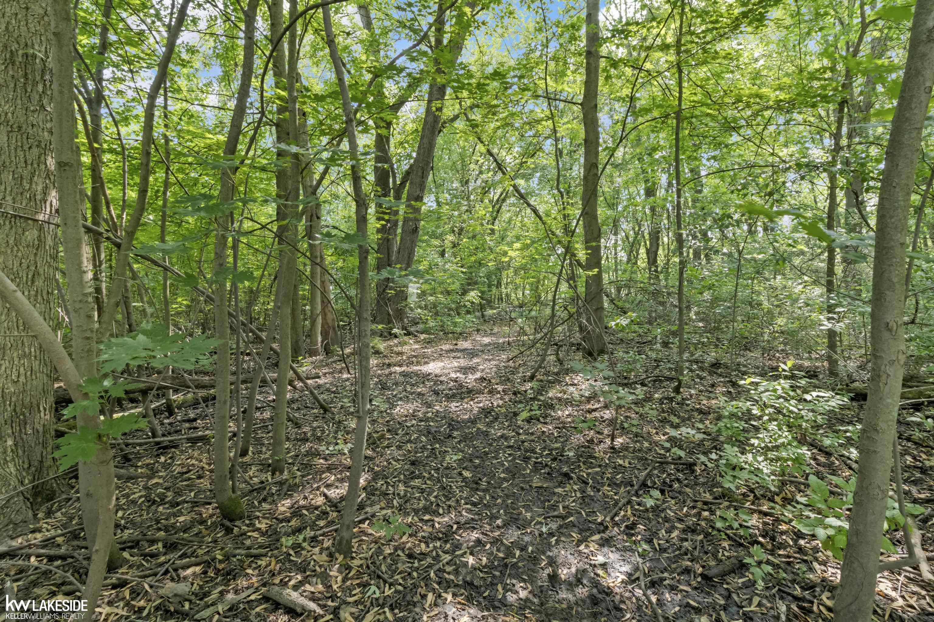 32540 Sutton Road New Baltimore, MI 48047 - Photo 31 of 34 50177822-19a3ecf3-72e2-496c-8c04-5ba86b0c1501.JPG