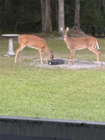 $975,000 | 163 Northwest Amber Court, Lake City, FL 32055