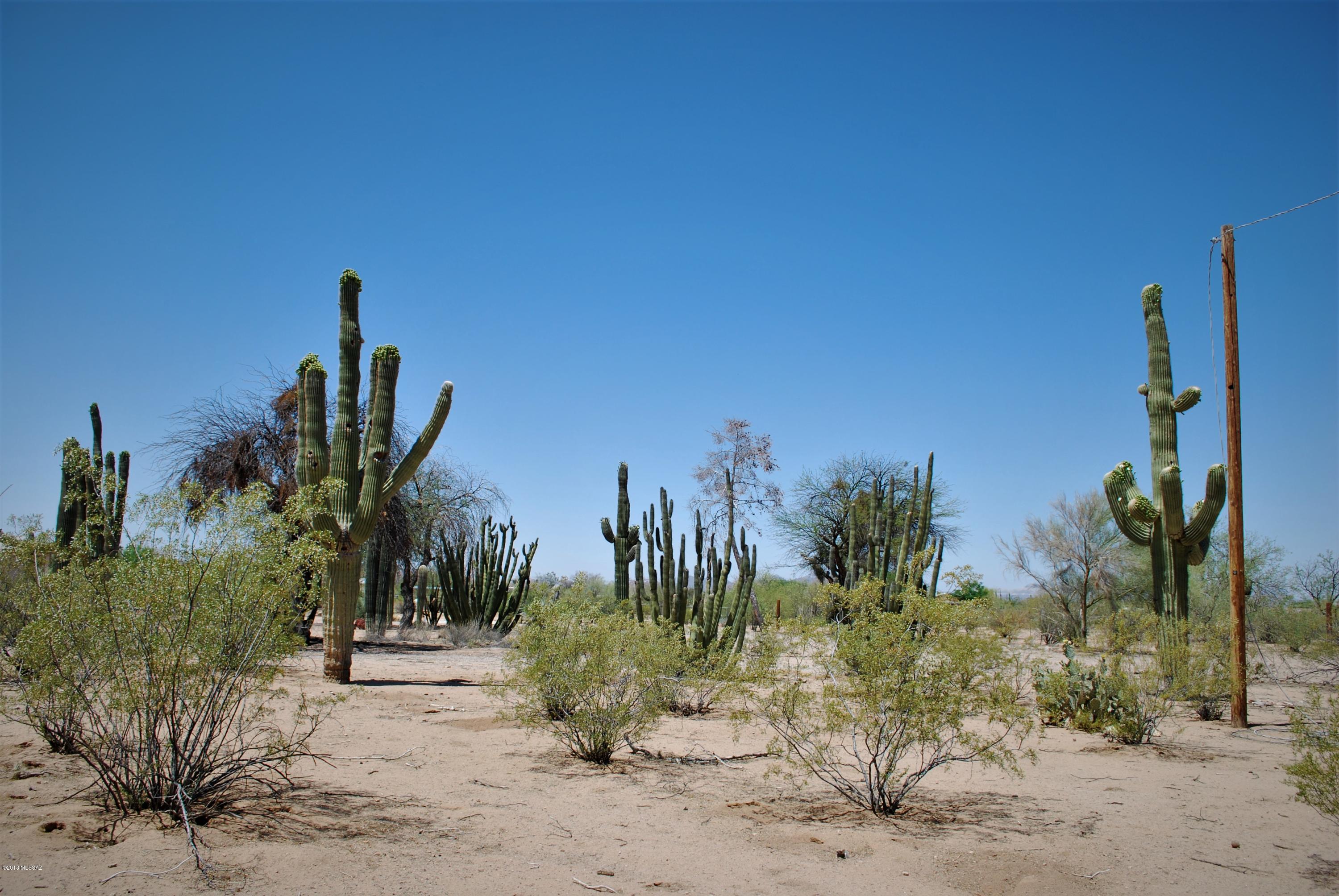 13054 West El Lobo Road Tucson, AZ 85743 - Photo 10 of 20 Gallery Image 10