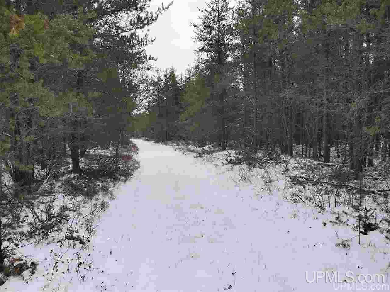 581 Rd Ishpeming Mi 49849 Road Ishpeming, MI 49849 - Photo 4 of 4