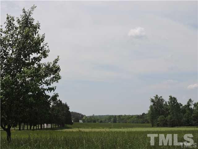 Lot A5 Antler Ridge Road Rougemont, NC 27572 - Photo 3 of 4