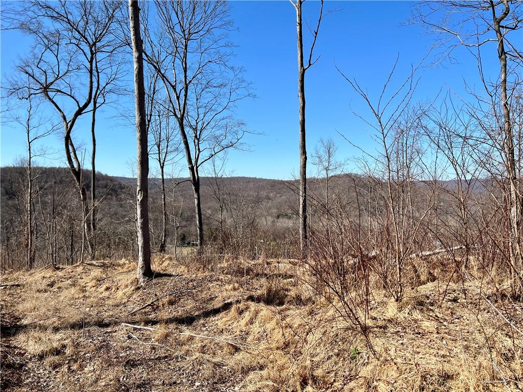 0 Fairview Road Ligonier, PA 15658 - Photo 3 of 19 Gallery Image 3