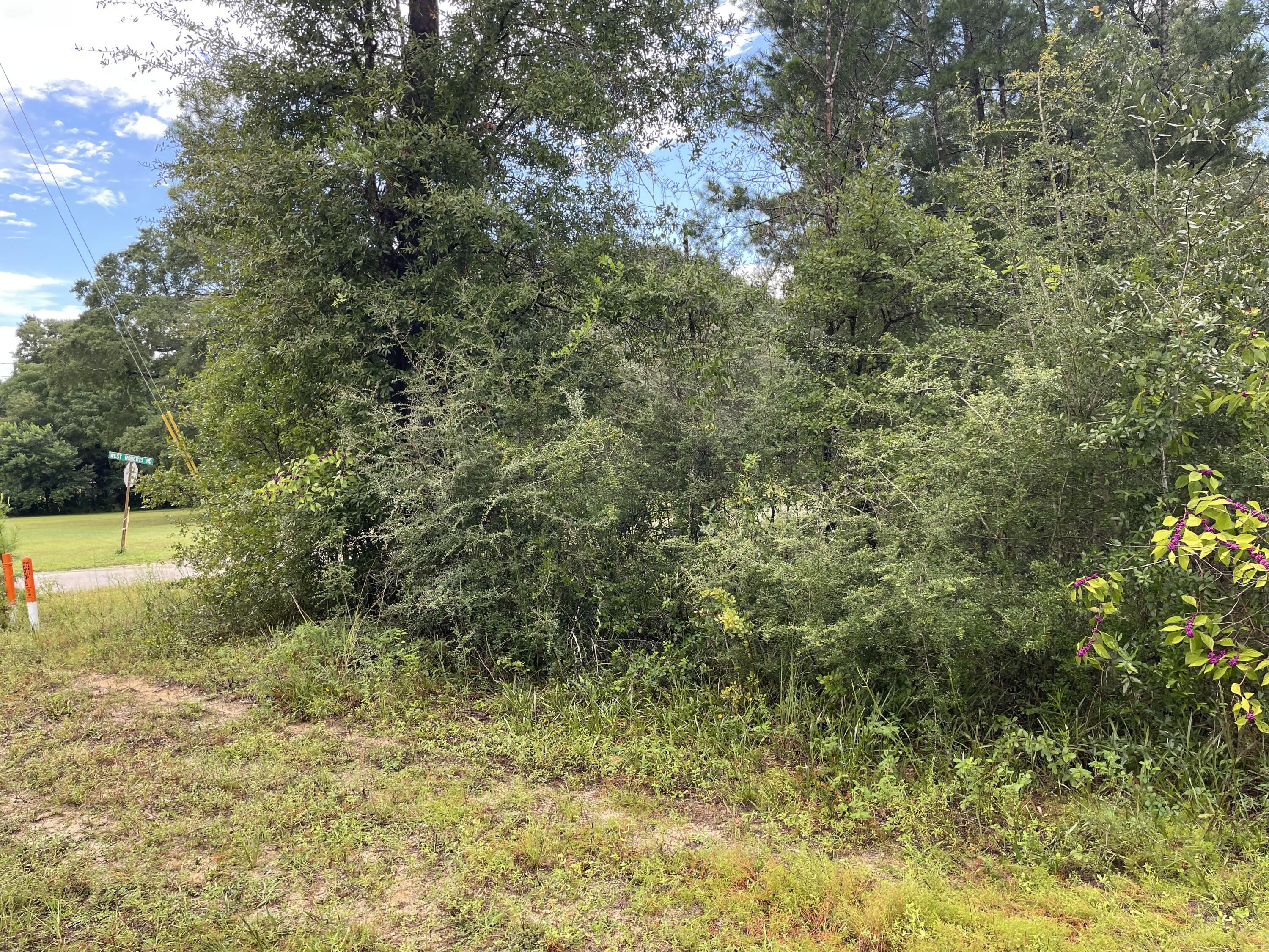 115 Hinote Road DeFuniak Springs, FL 32433 - Photo 3 of 9 a view of a yard with a tree