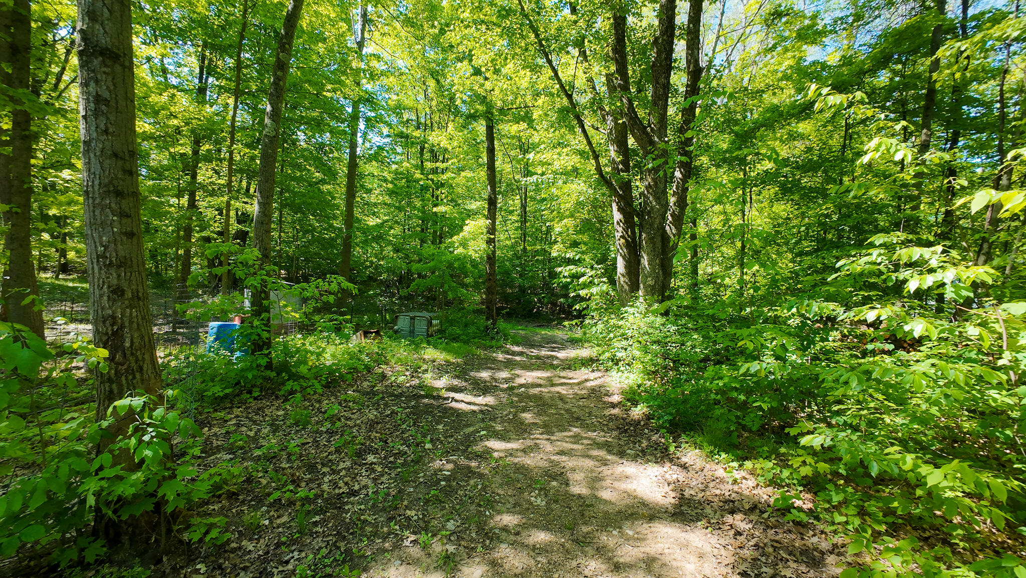 4196 West 4 Mile Road White Cloud, MI 49349 - Photo 41 of 65 DJI_20260527113328_0061_D