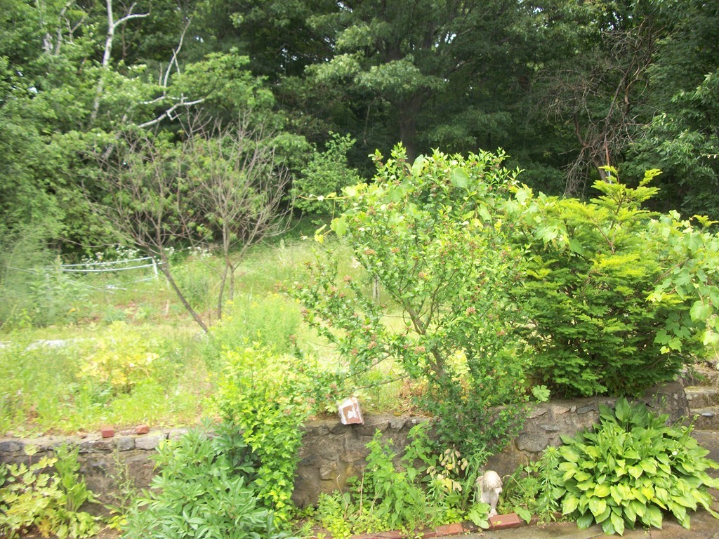 71 Moon Road Lynn, MA 01904 - Photo 22 of 28 Gallery Image 22