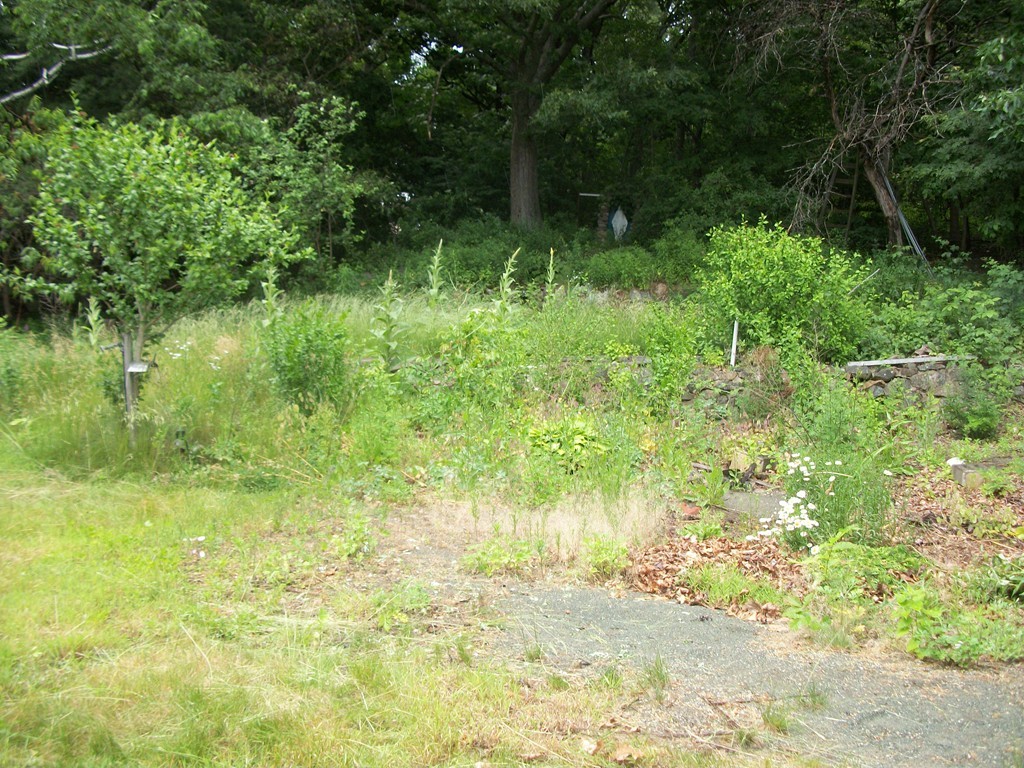 71 Moon Road Lynn, MA 01904 - Photo 24 of 28 Gallery Image 24