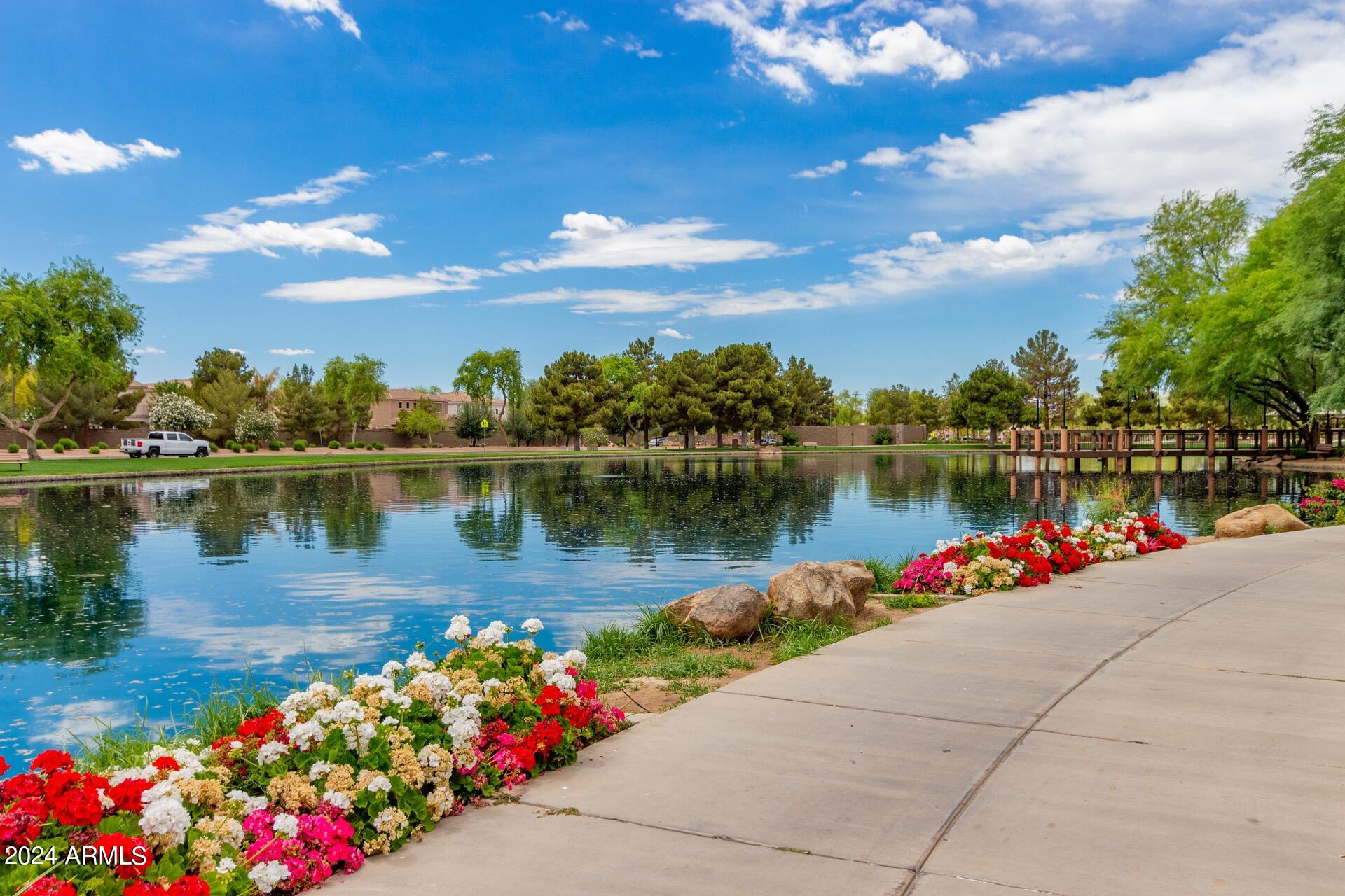 4333 South Rim Court Gilbert, AZ 85297 - Photo 44 of 77 a view of a lake with a lot of flower plants and large tree