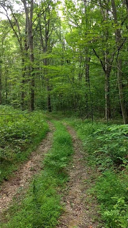 0 Conover Pass Road Acme, PA 15610 - Photo 3 of 7 Gallery Image 3